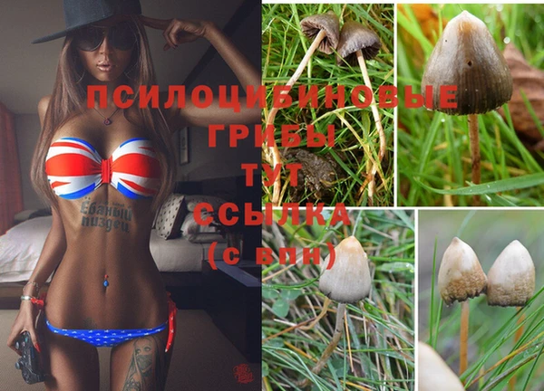 мдпв Бронницы