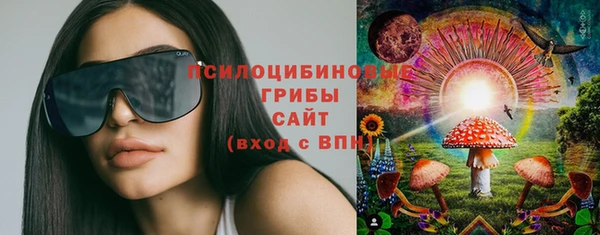 наркотики Бородино