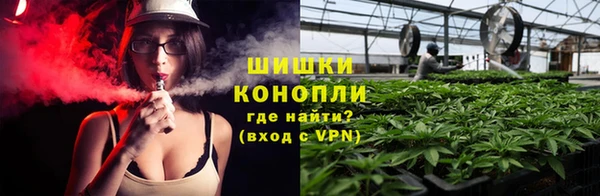 мдпв Бронницы