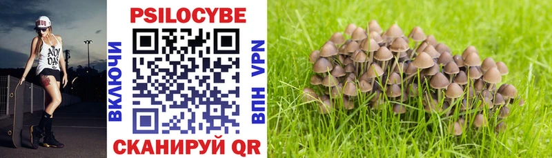 Галлюциногенные грибы MAGIC MUSHROOMS  Купить закладки  Бирск 